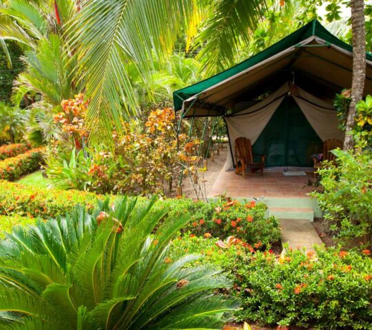 Rafiki Safari Lodge, Perez Zeledon, Costa Rica Rafiki Safari Lodge, Perez Zeledon, Costa Rica