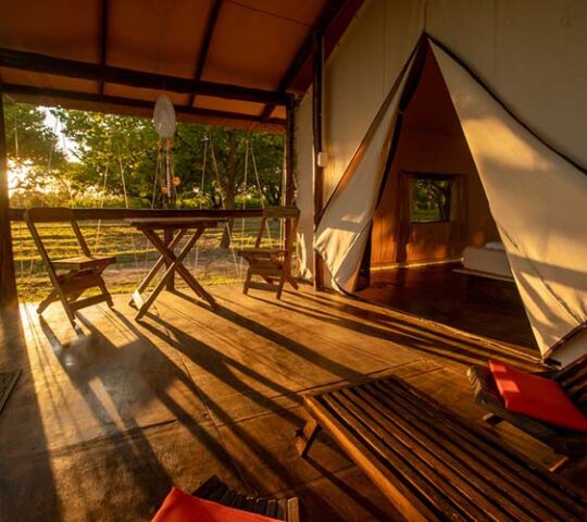 Entre Acequias, General Alvear, Mendoza, Argentina