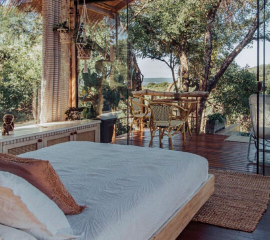 Satori Zen Club, Paraguay