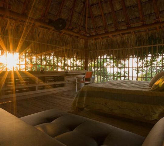Mamancana. Magdalena, Santa Marta, Colombia