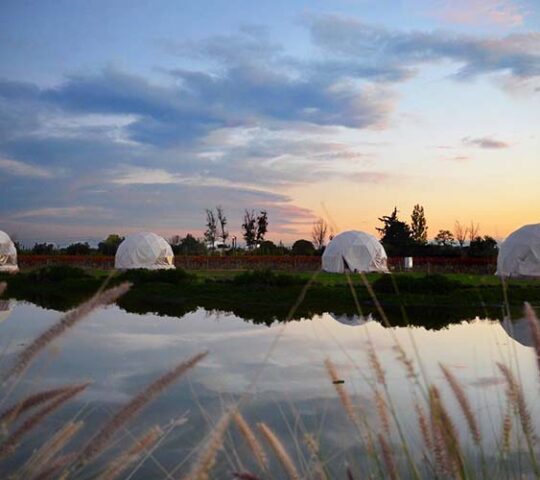 Glamping Meraki, Mendoza, Argentina