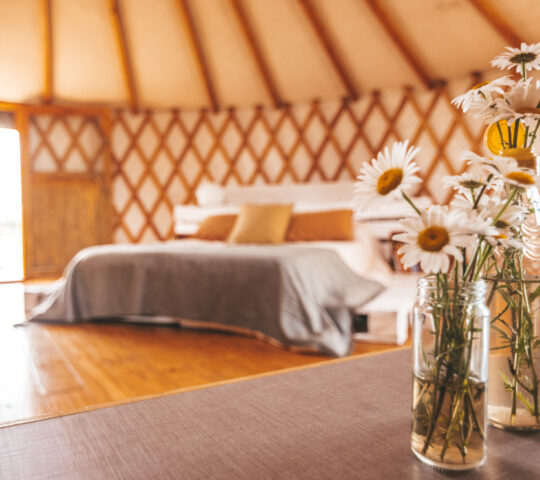 Yamay Ecoturismo, Pardo, Buenos Aires, Argentina