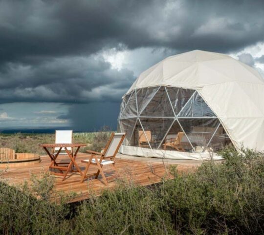 Alpasión, Valle de Uco, Mendoza, Argentina