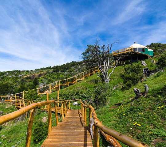 Fundo Panguilemu, Patagonia Aysen, Chile
