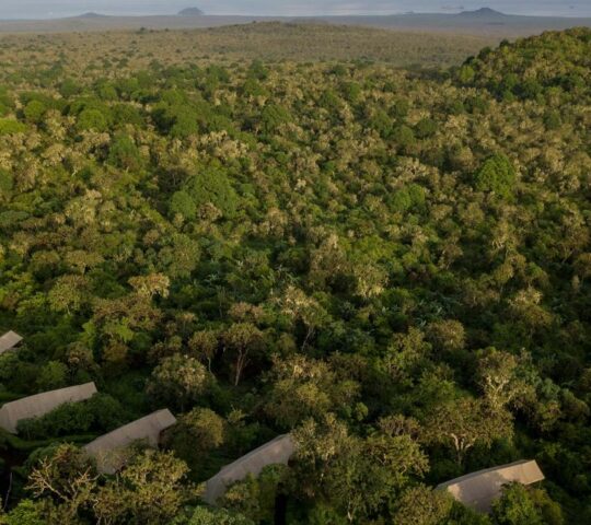 Galapagos Safari Camp. Galapagos, Ecuador