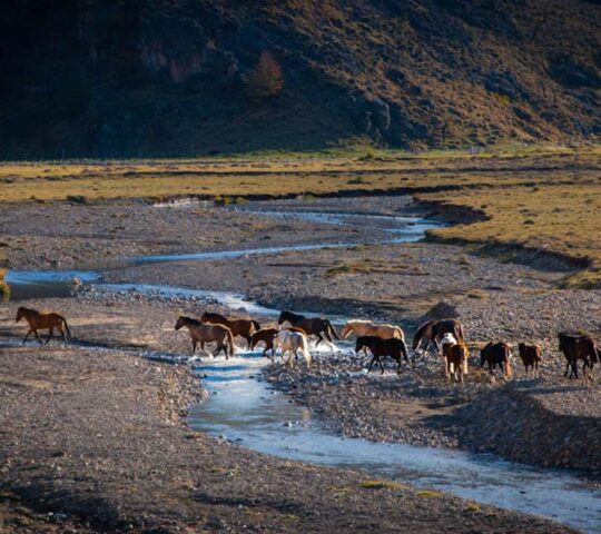 Patagonia Eco Domes, El Chaltén, Santa Cruz, Argentina