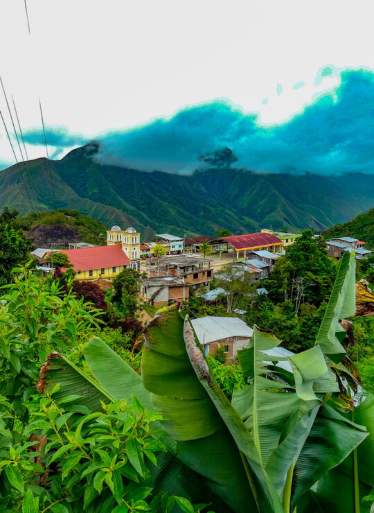 Zamora Chinchipe (EC)