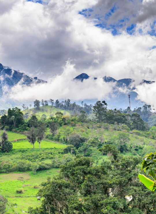 Cundinamarca (CO)