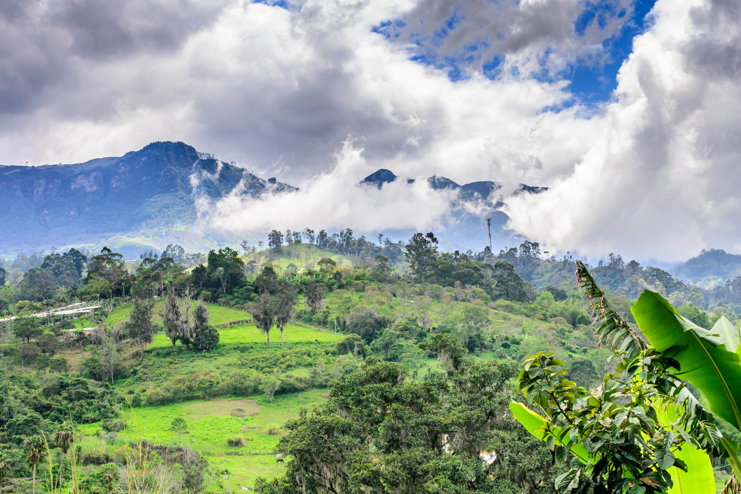 Cundinamarca (CO)